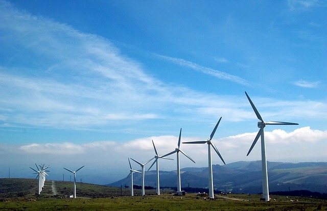 Renewable energy industry failed by political parties, survey finds